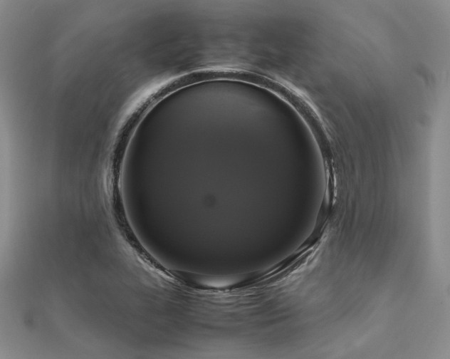 X0000112111319200908041533