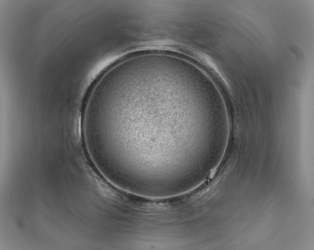 X0000112111320200908041533