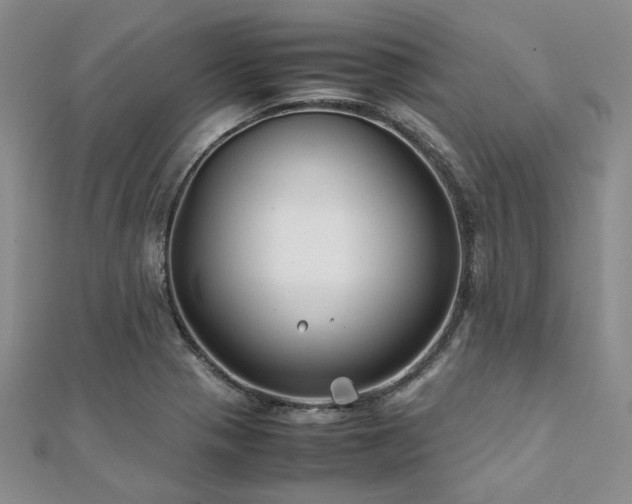 X0000112111321200908041533