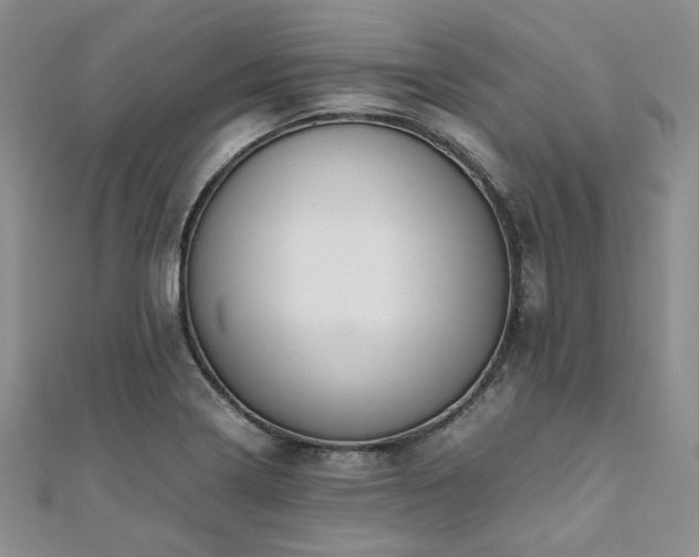 X0000112111322200908041533