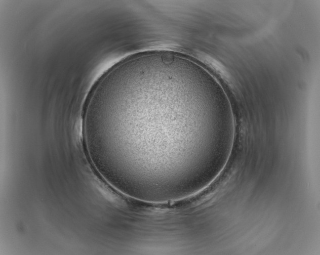 X0000112111324200908041533