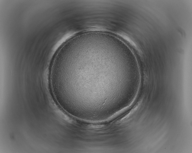 X0000112111325200908041533