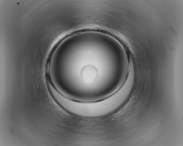 X0000112111326200908041533