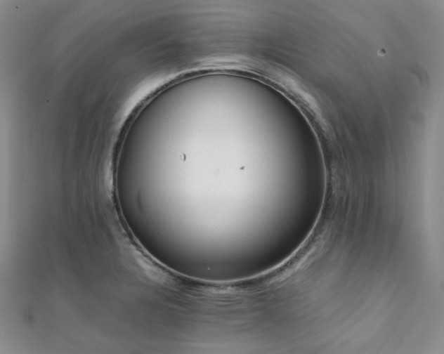 X0000112111328200908041533