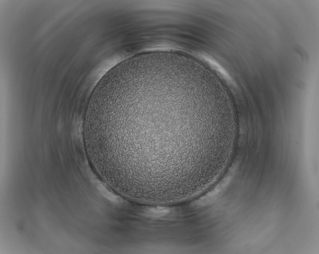 X0000112111329200908041533