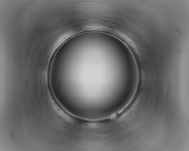 X0000112111330200908041533