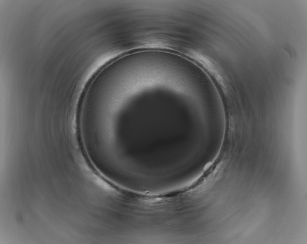 X0000112111331200908041533