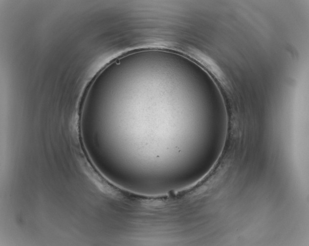 X0000112111332200908041533