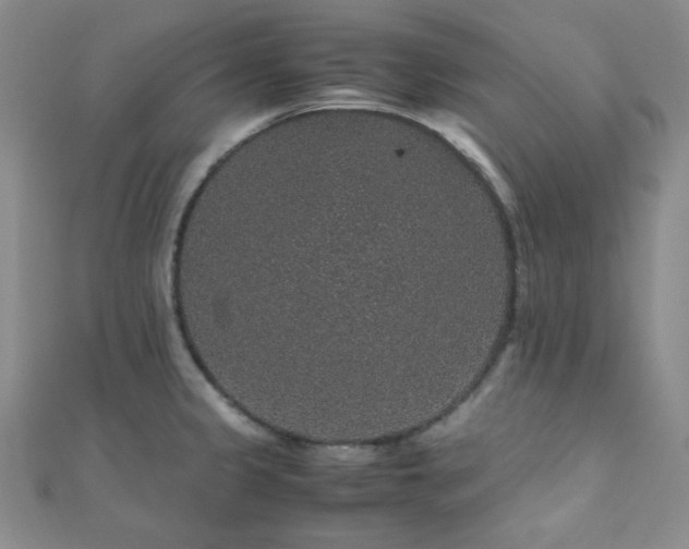 X0000112111333200908041533