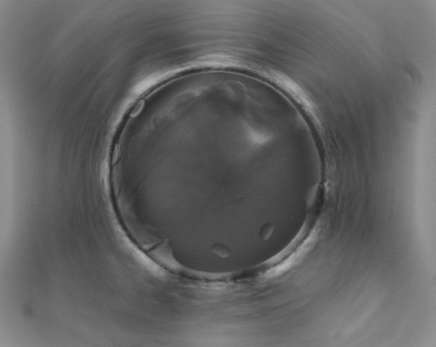 X0000112111334200908041533