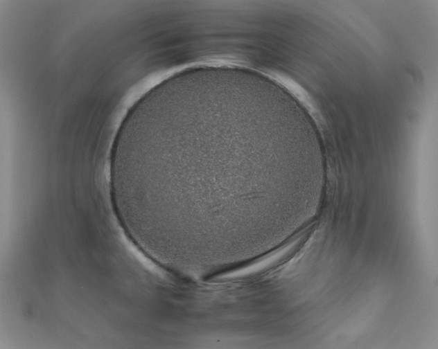 X0000112111335200908041533