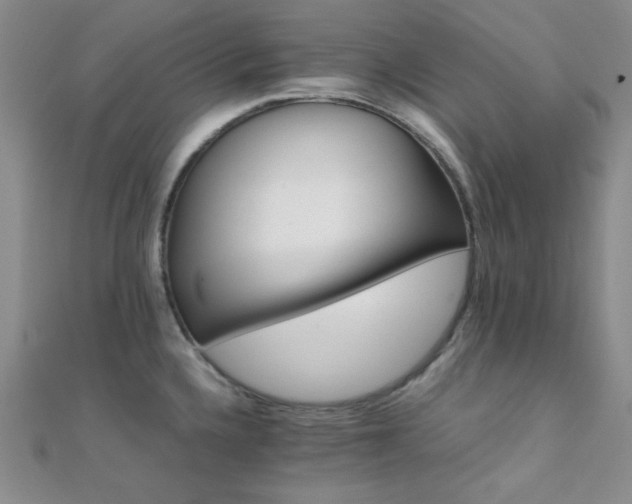 X0000112111336200908041533