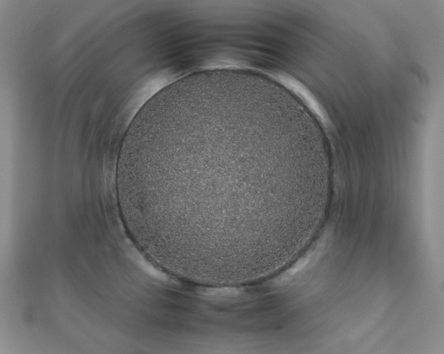 X0000112111337200908041533