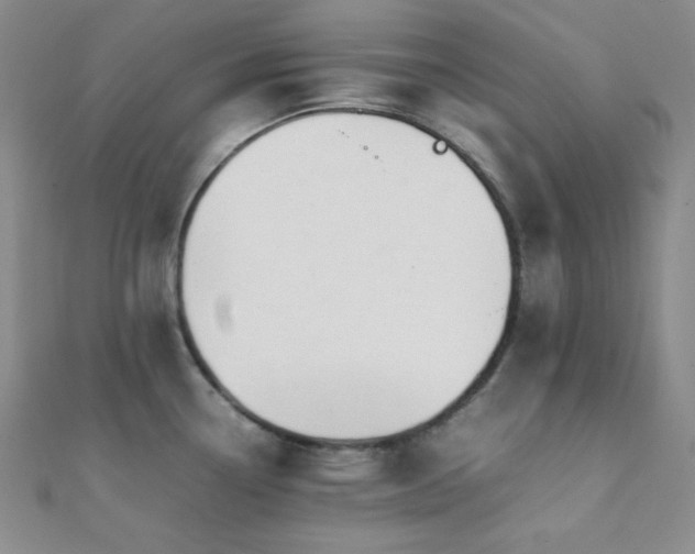 X0000112111338200908041533