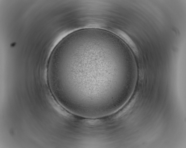 X0000112111340200908041533