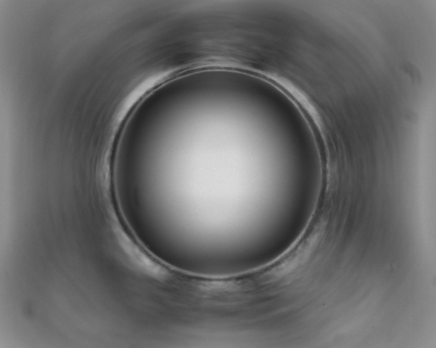 X0000112111341200908041533