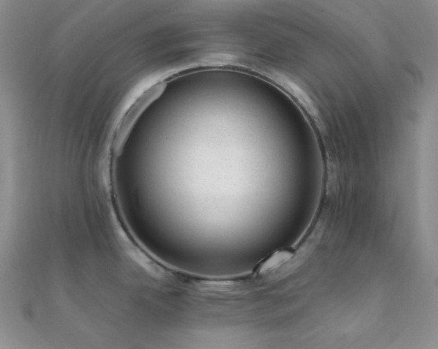 X0000112111342200908041533