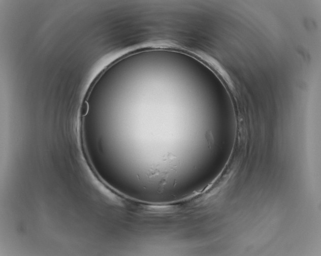 X0000112111343200908041533