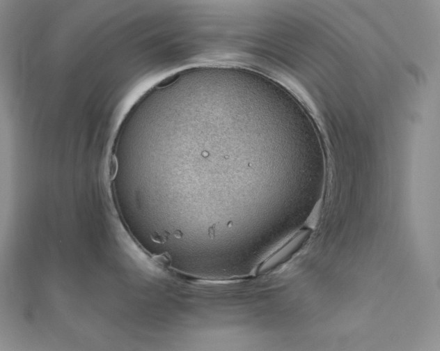 X0000112111344200908041533