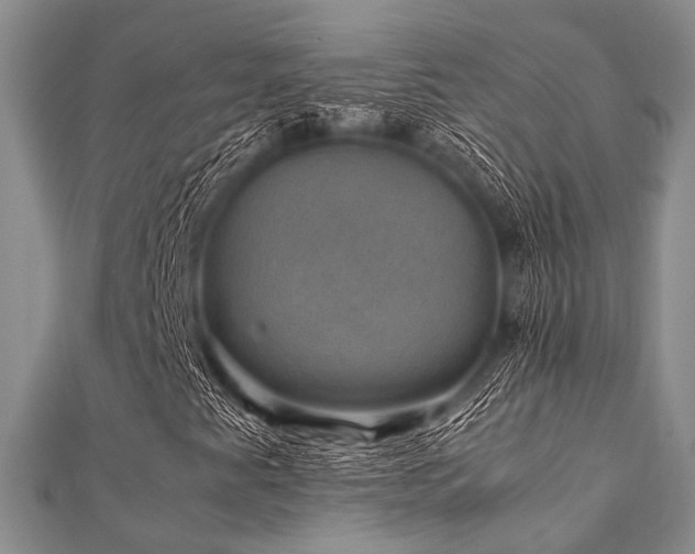 X0000112111345200908041533