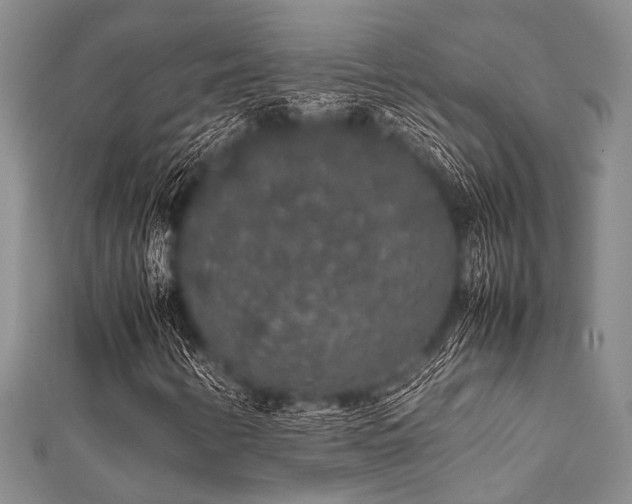 X0000112111346200908041532