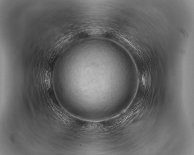 X0000112111348200908041532