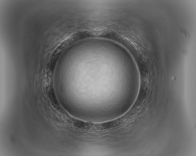 X0000112111349200908041532