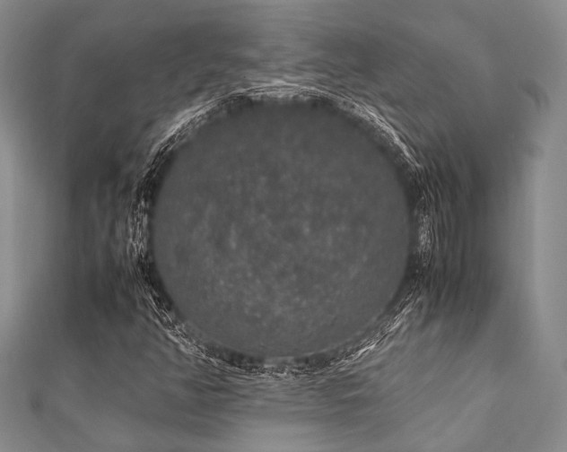 X0000112111350200908041532