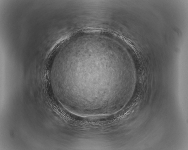 X0000112111351200908041532