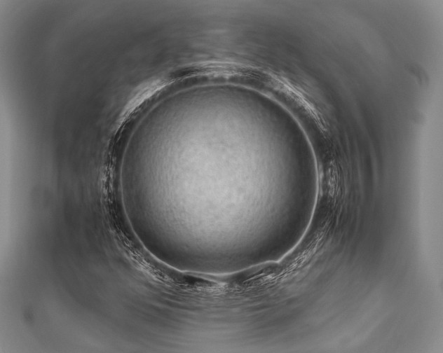 X0000112111352200908041532