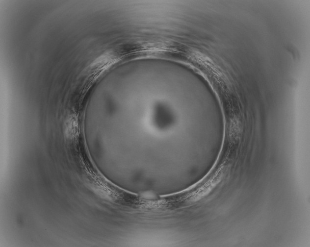 X0000112111353200908041532