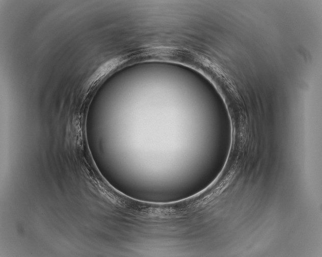 X0000112111354200908041532