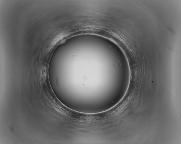 X0000112111355200908041532