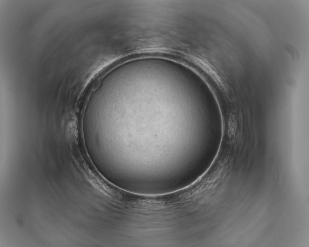 X0000112111356200908041532