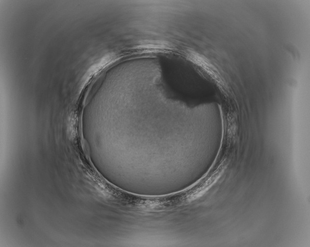 X0000112111357200908041532