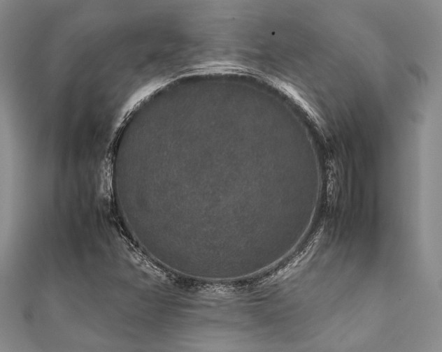 X0000112111358200908041532