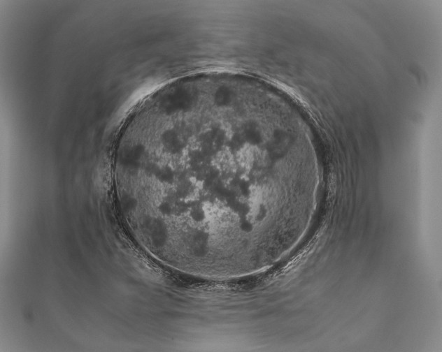 X0000112111359200908041532