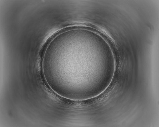 X0000112111360200908041532