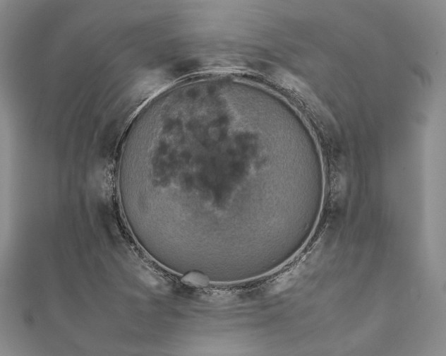 X0000112111361200908041532