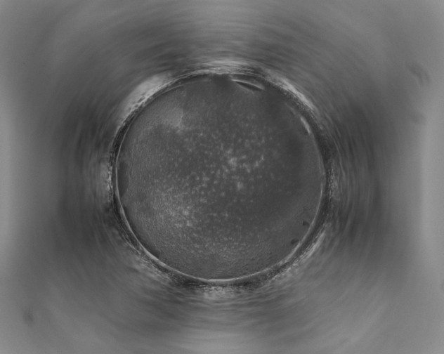 X0000112111362200908041532