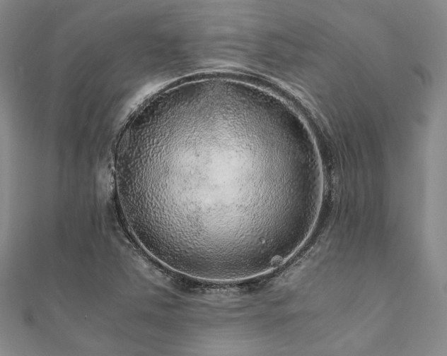 X0000112111363200908041532