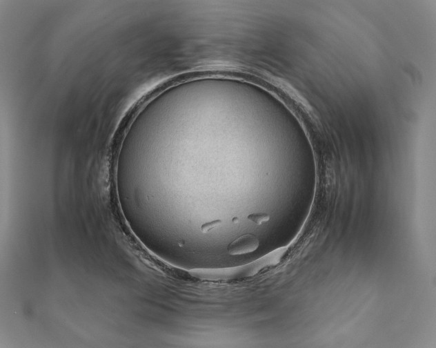 X0000112111364200908041532