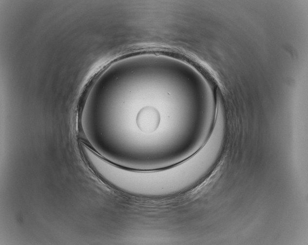 X0000112111365200908041532