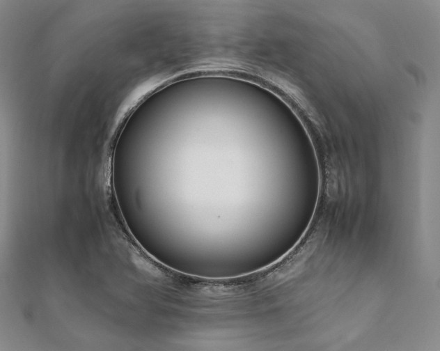 X0000112111366200908041532