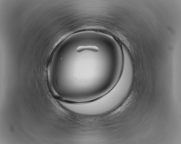 X0000112111369200908041532