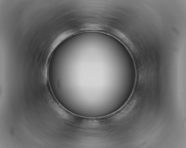 X0000112111370200908041532