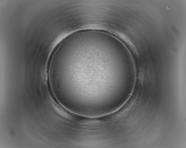 X0000112111372200908041532