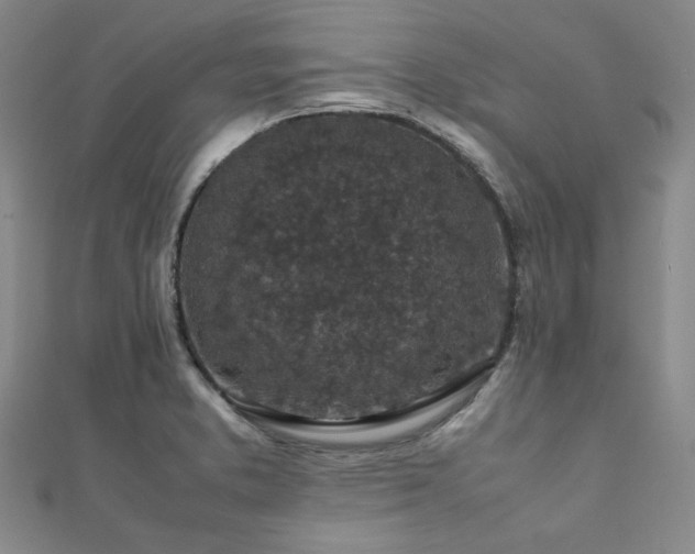 X0000112111373200908041532