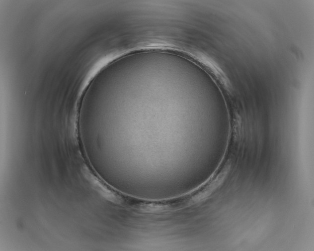 X0000112111374200908041532