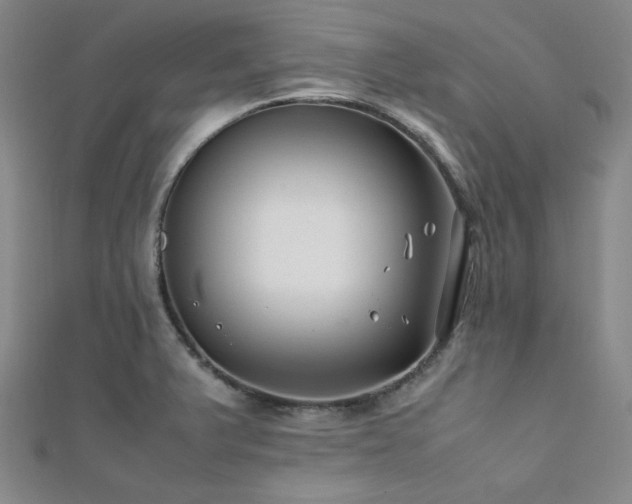 X0000112111375200908041532